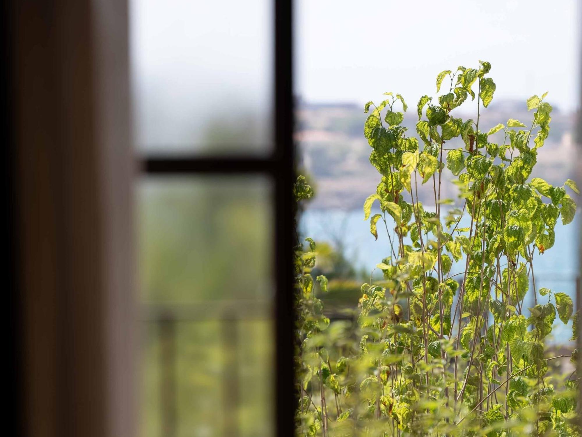 Amalen Suites Adults Only Rethymnon Exterior foto